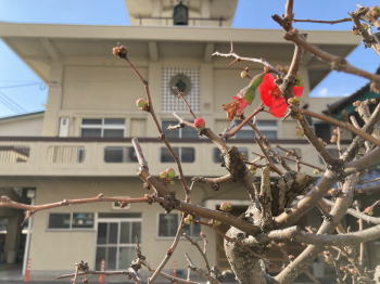 �����񍐎ʐ^